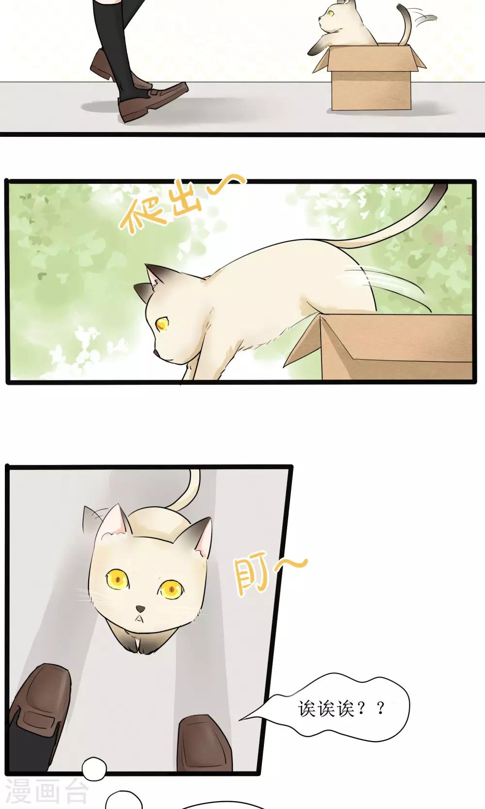《说了猫还没灭绝呢》第5话 第2页