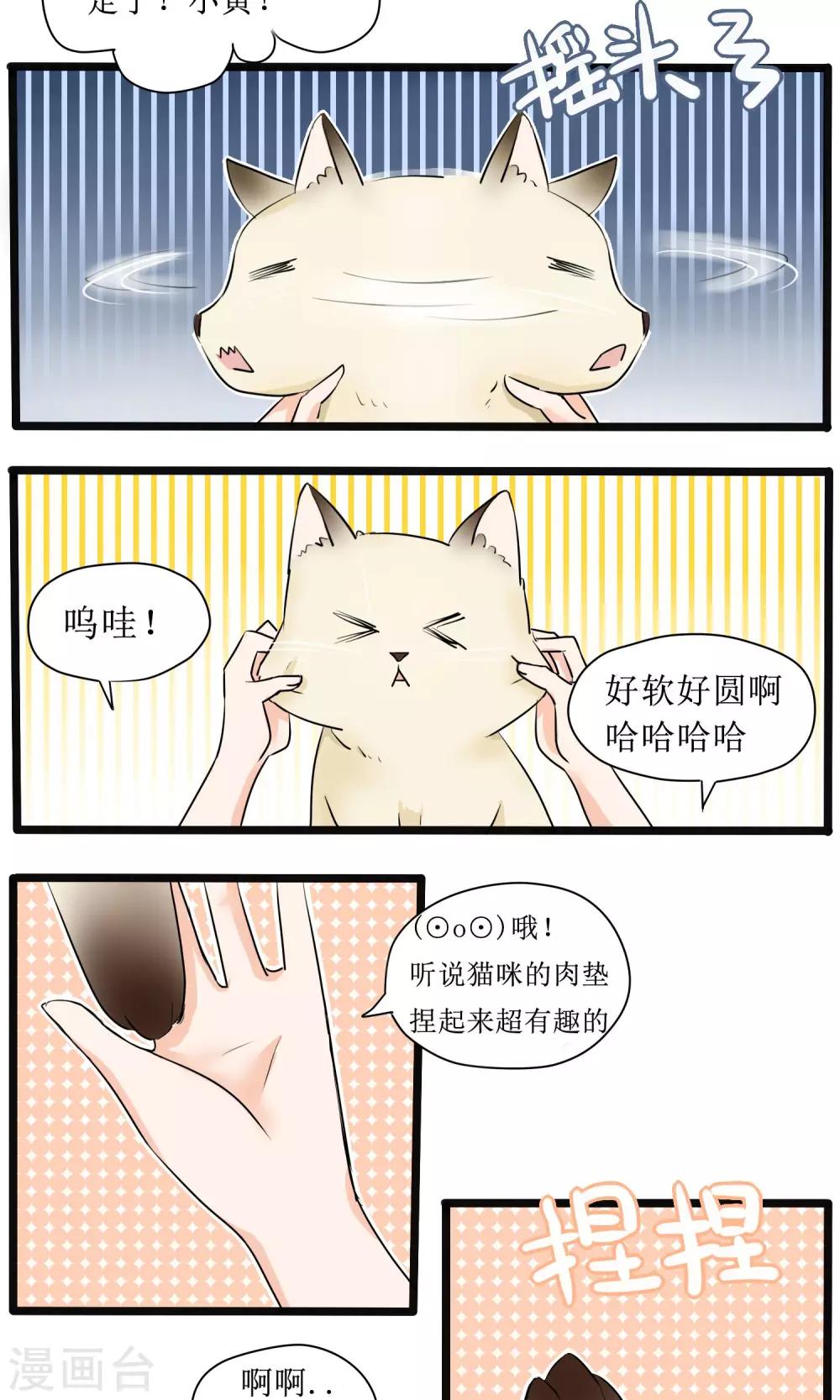 《说了猫还没灭绝呢》第5话 第7页