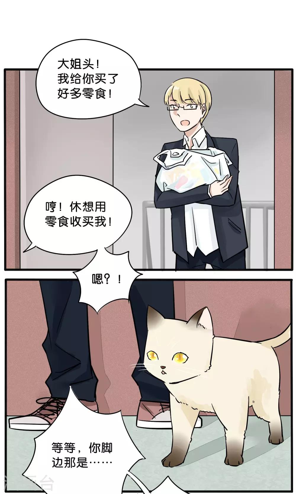 《说了猫还没灭绝呢》第13话 第5页