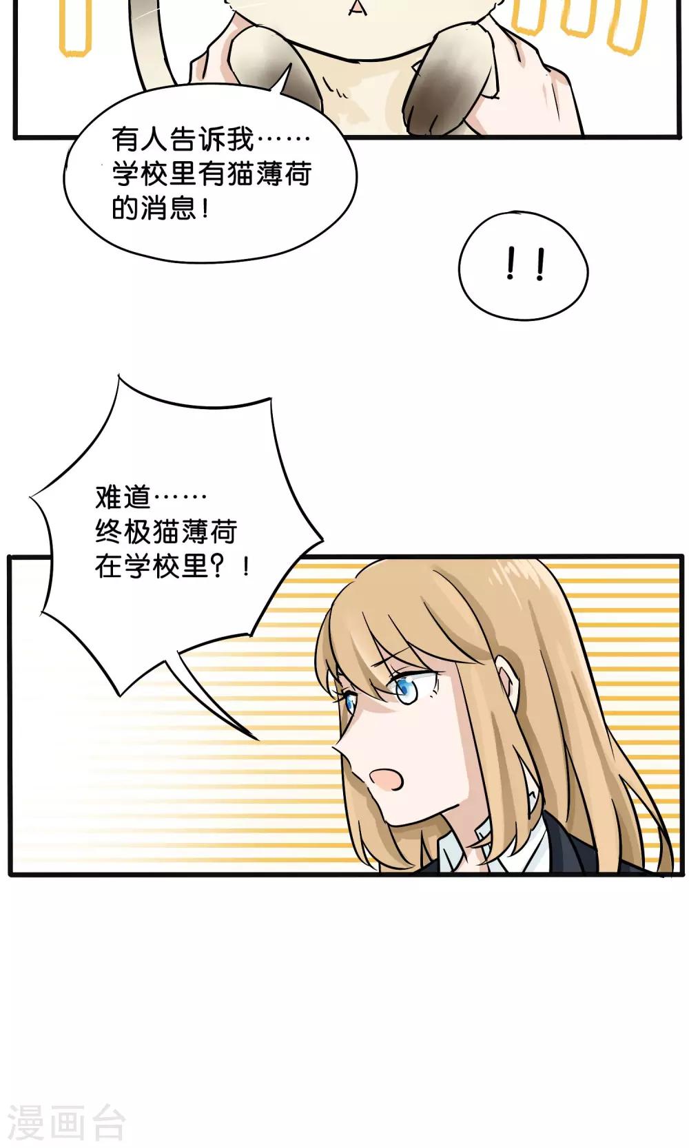 《说了猫还没灭绝呢》第13话 第8页