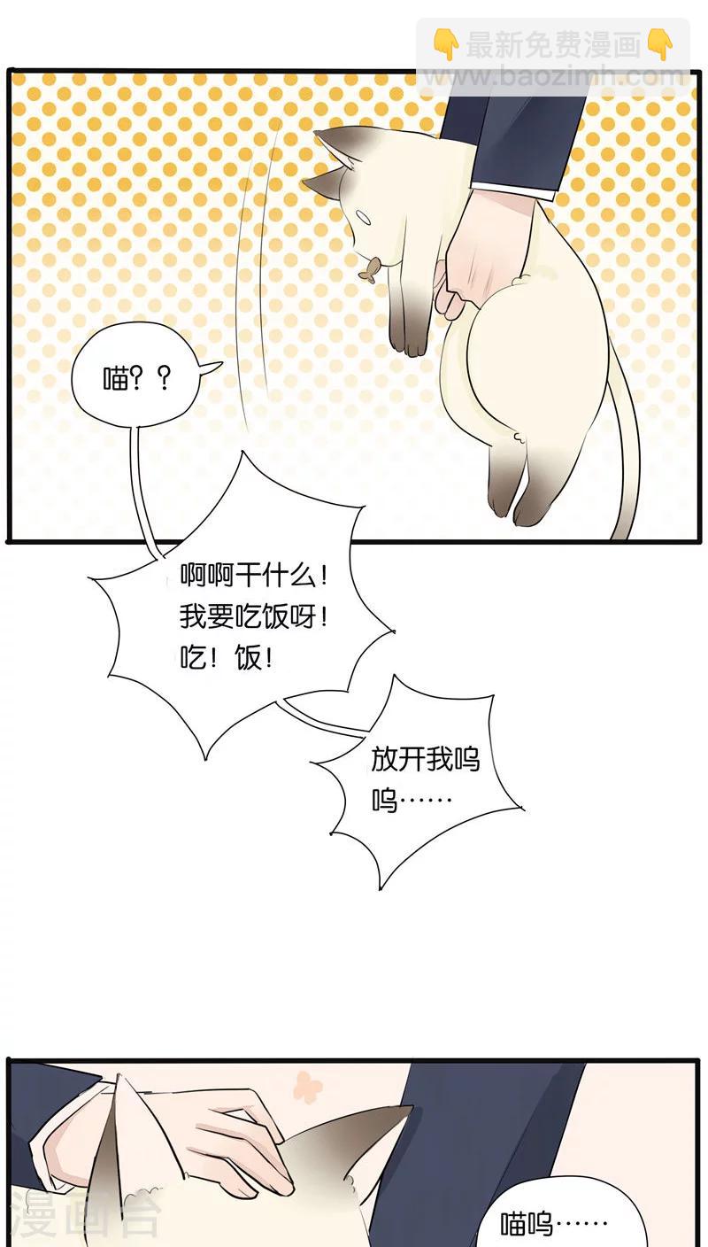 《说了猫还没灭绝呢》第20话 第13页
