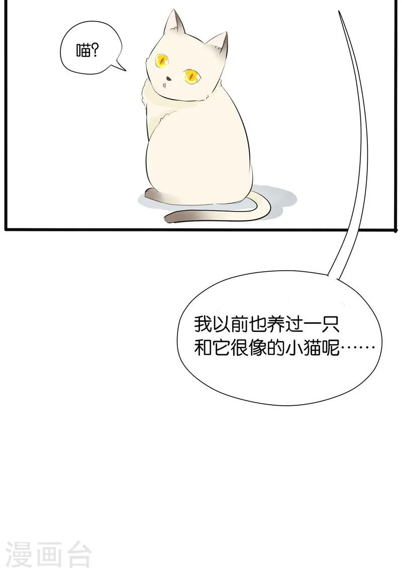 《说了猫还没灭绝呢》第20话 第15页