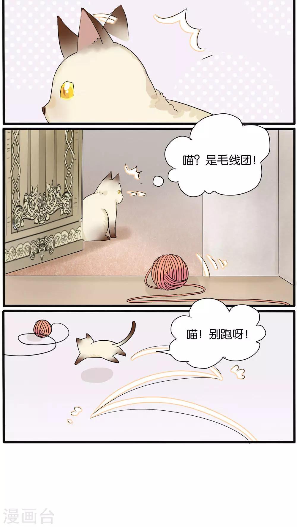 《说了猫还没灭绝呢》第23话 第11页