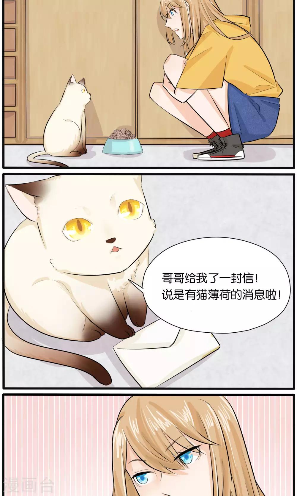 《说了猫还没灭绝呢》第27话 第10页