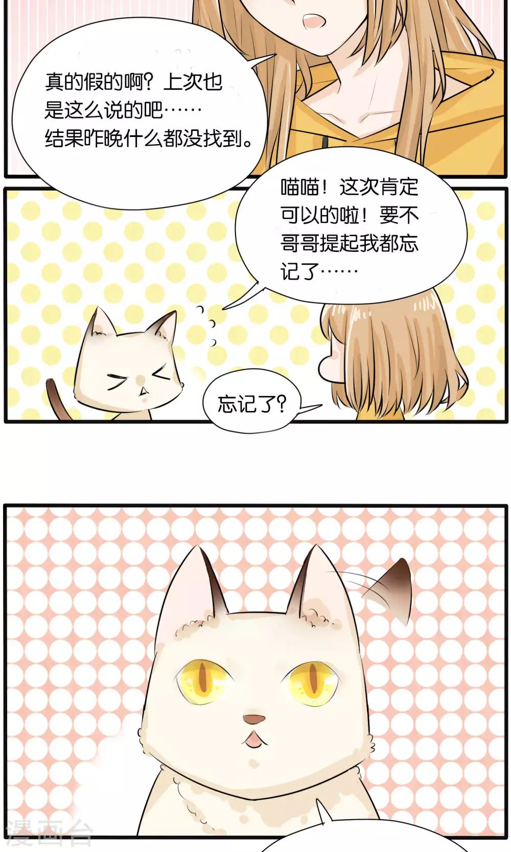 《说了猫还没灭绝呢》第27话 第11页