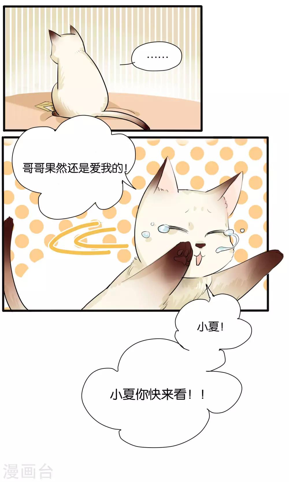 《说了猫还没灭绝呢》第27话 第5页