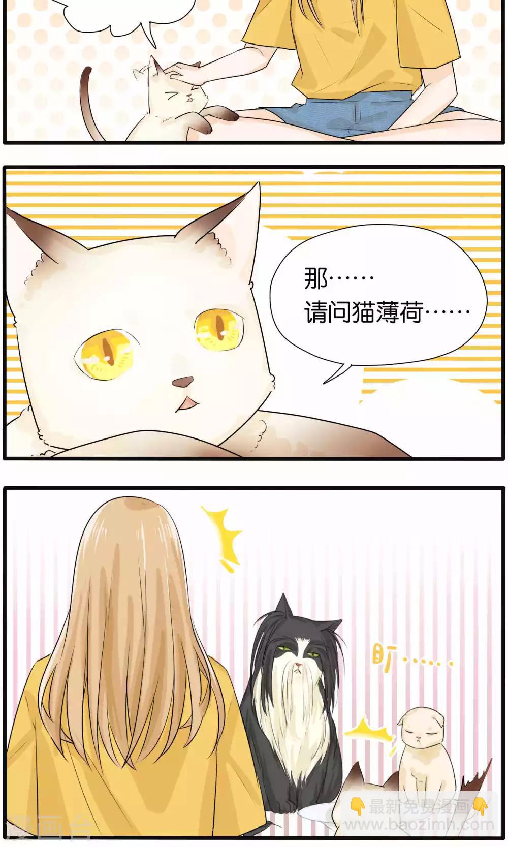 《说了猫还没灭绝呢》第28话 第12页