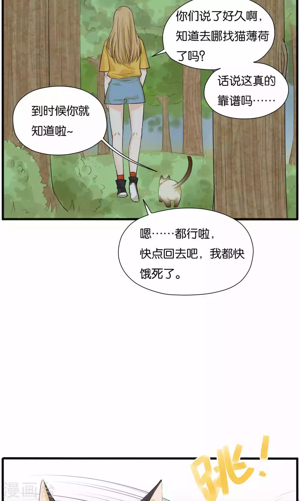 《说了猫还没灭绝呢》第28话 第15页