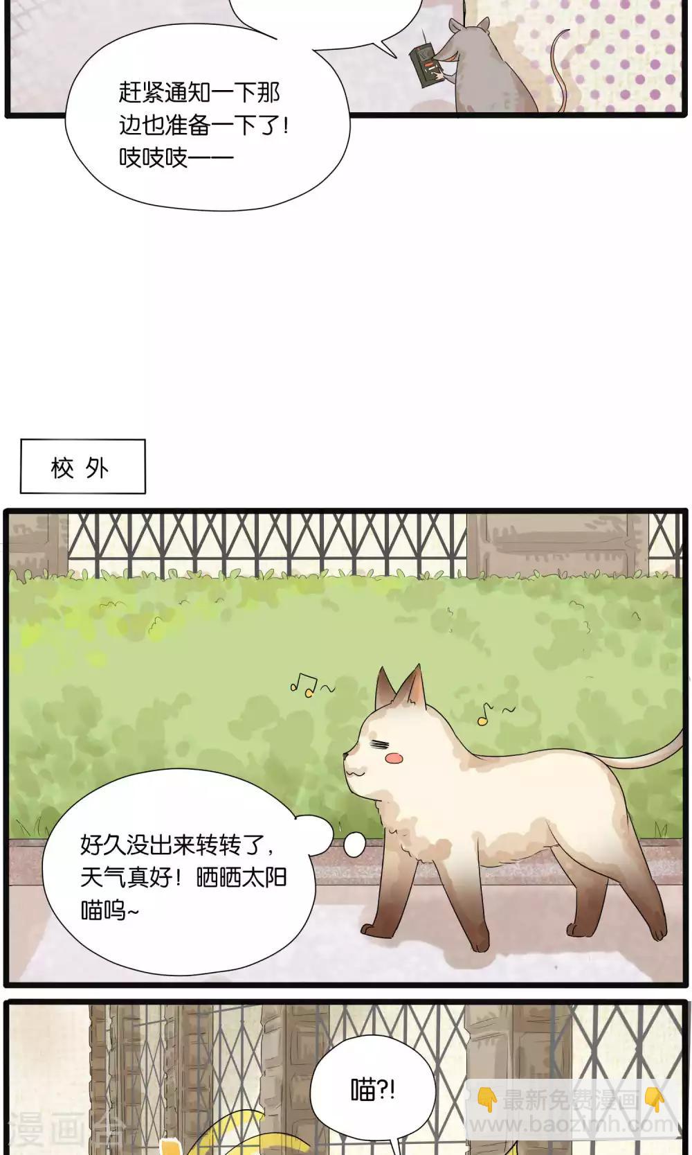 《说了猫还没灭绝呢》第32话 第11页