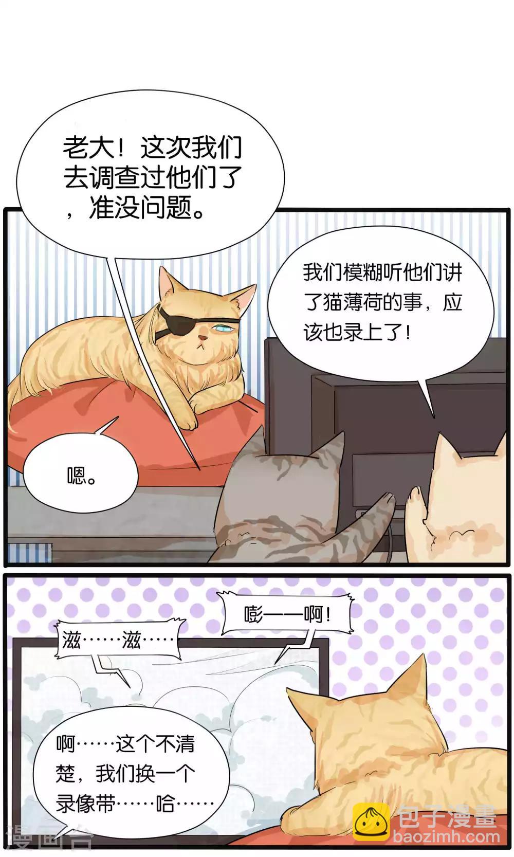《说了猫还没灭绝呢》第32话 第4页