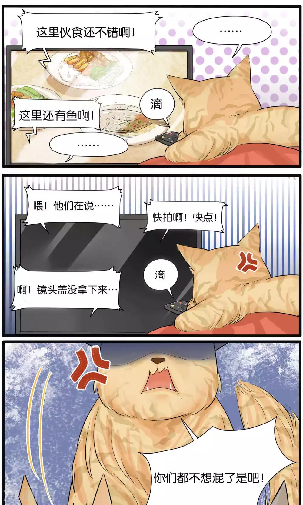 《说了猫还没灭绝呢》第32话 第5页