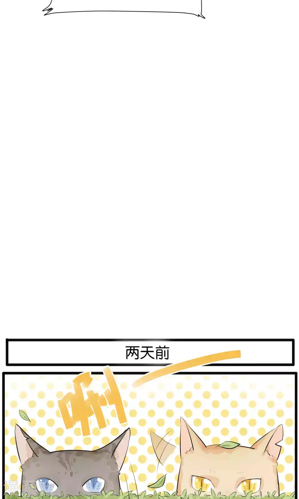 《说了猫还没灭绝呢》第32话 第7页