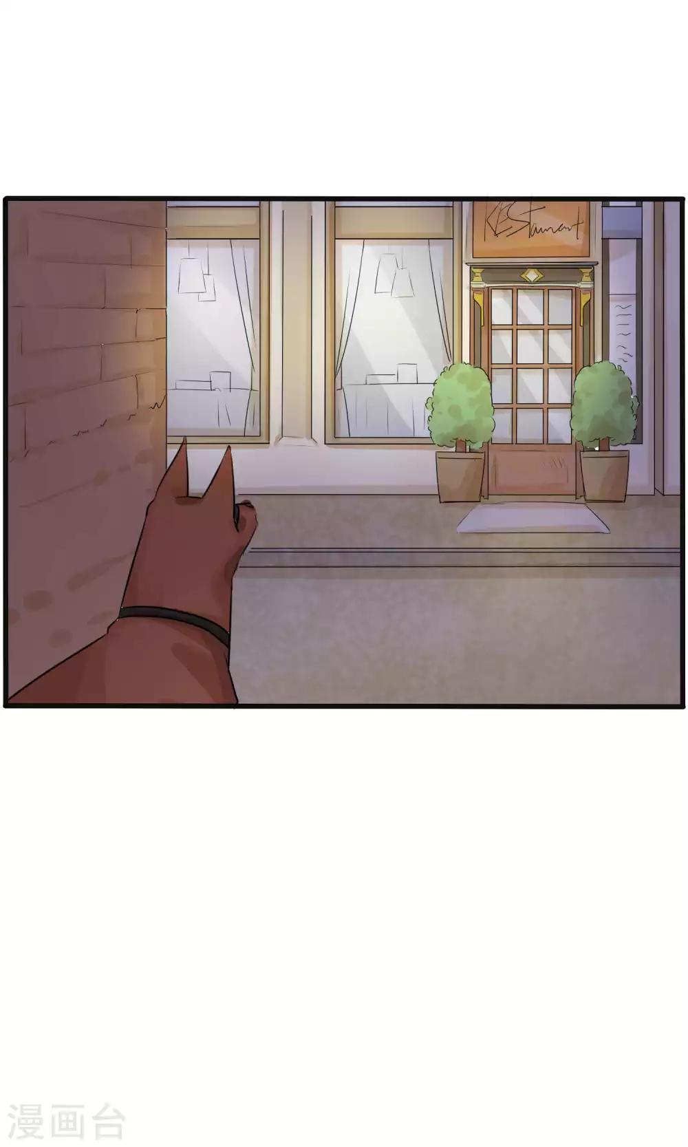 《说了猫还没灭绝呢》第30话 第16页