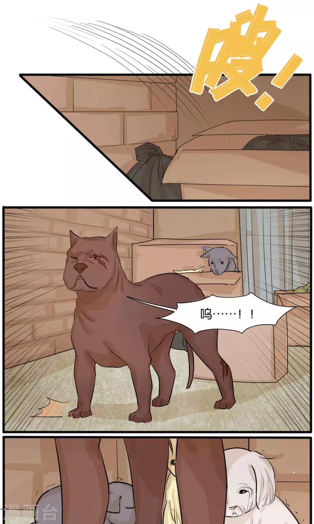 《说了猫还没灭绝呢》第30话 第5页