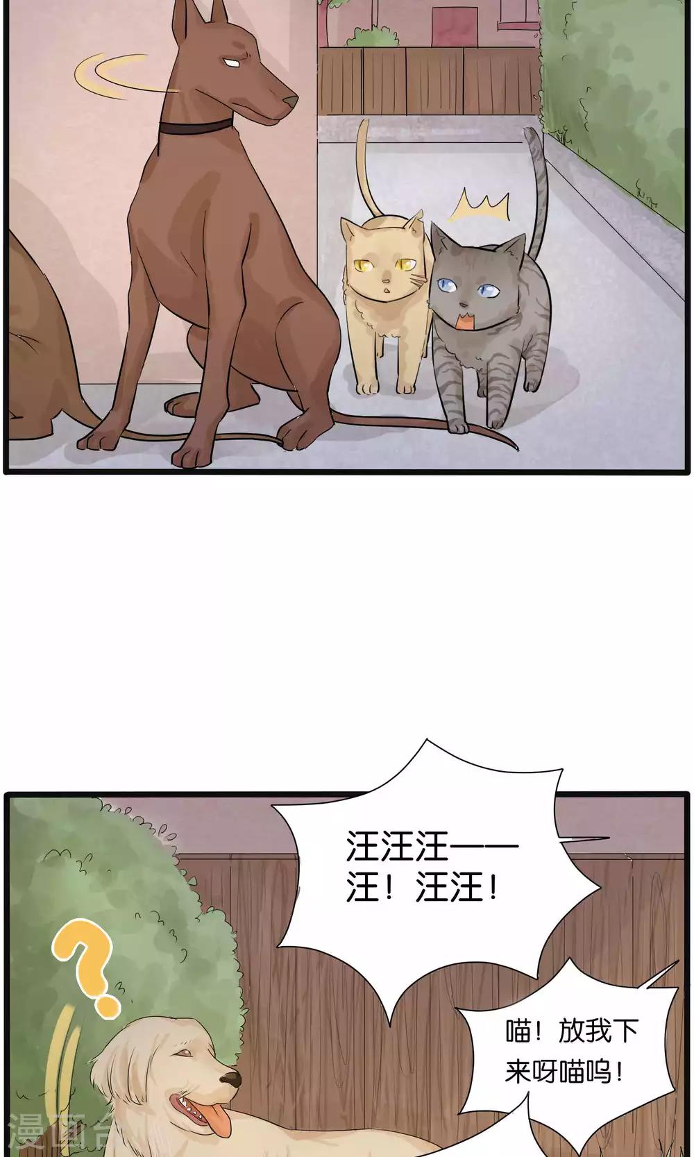 《说了猫还没灭绝呢》第31话 第10页