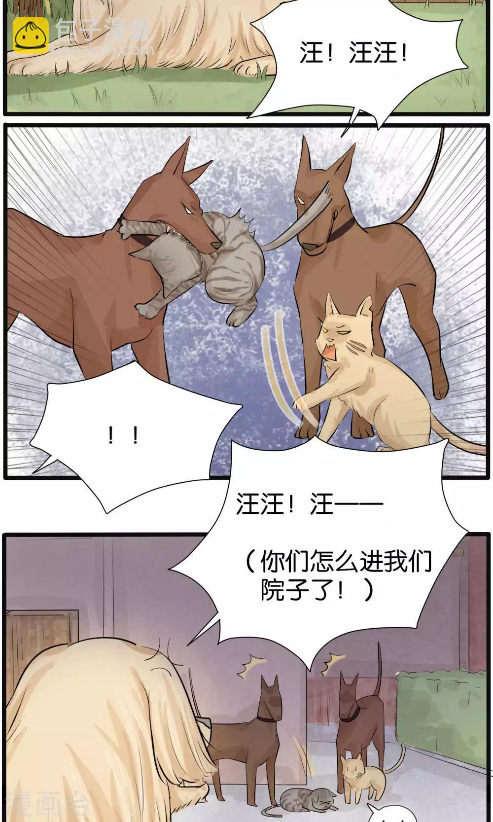 《说了猫还没灭绝呢》第31话 第11页