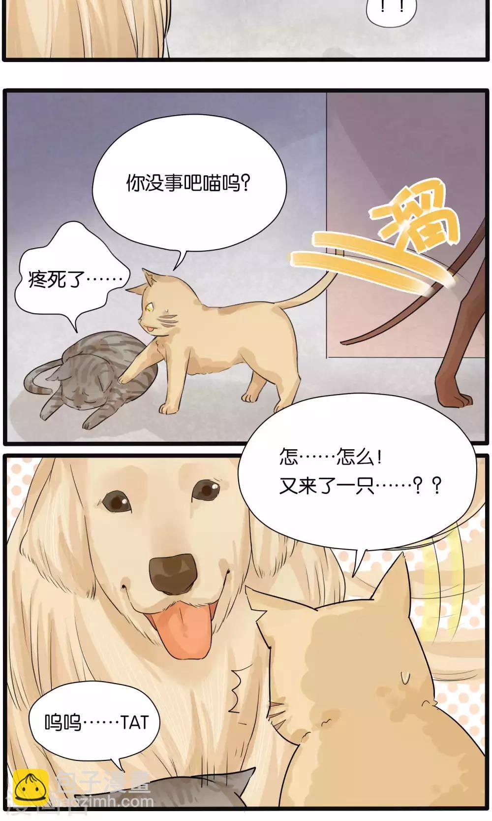 《说了猫还没灭绝呢》第31话 第12页