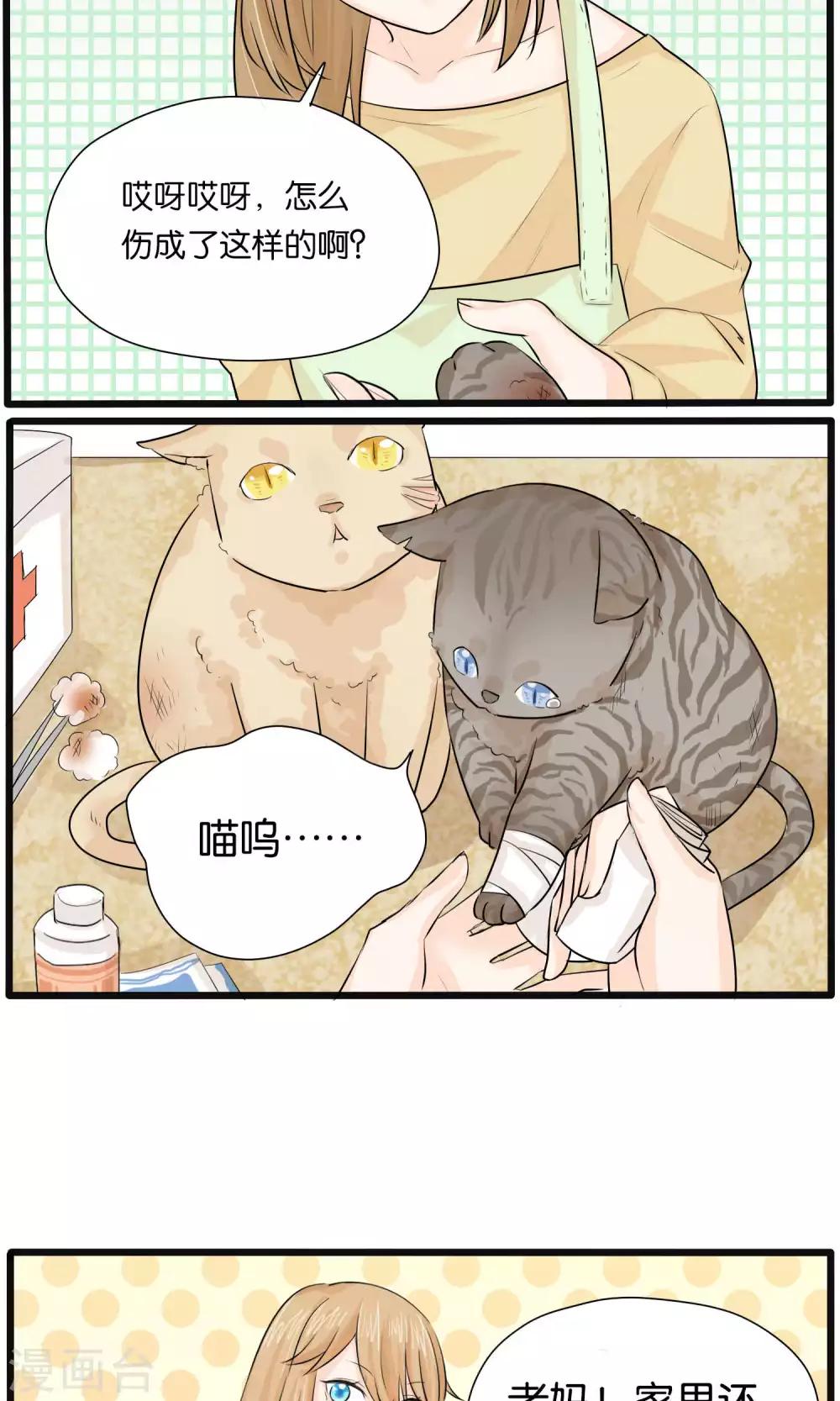 《说了猫还没灭绝呢》第31话 第14页