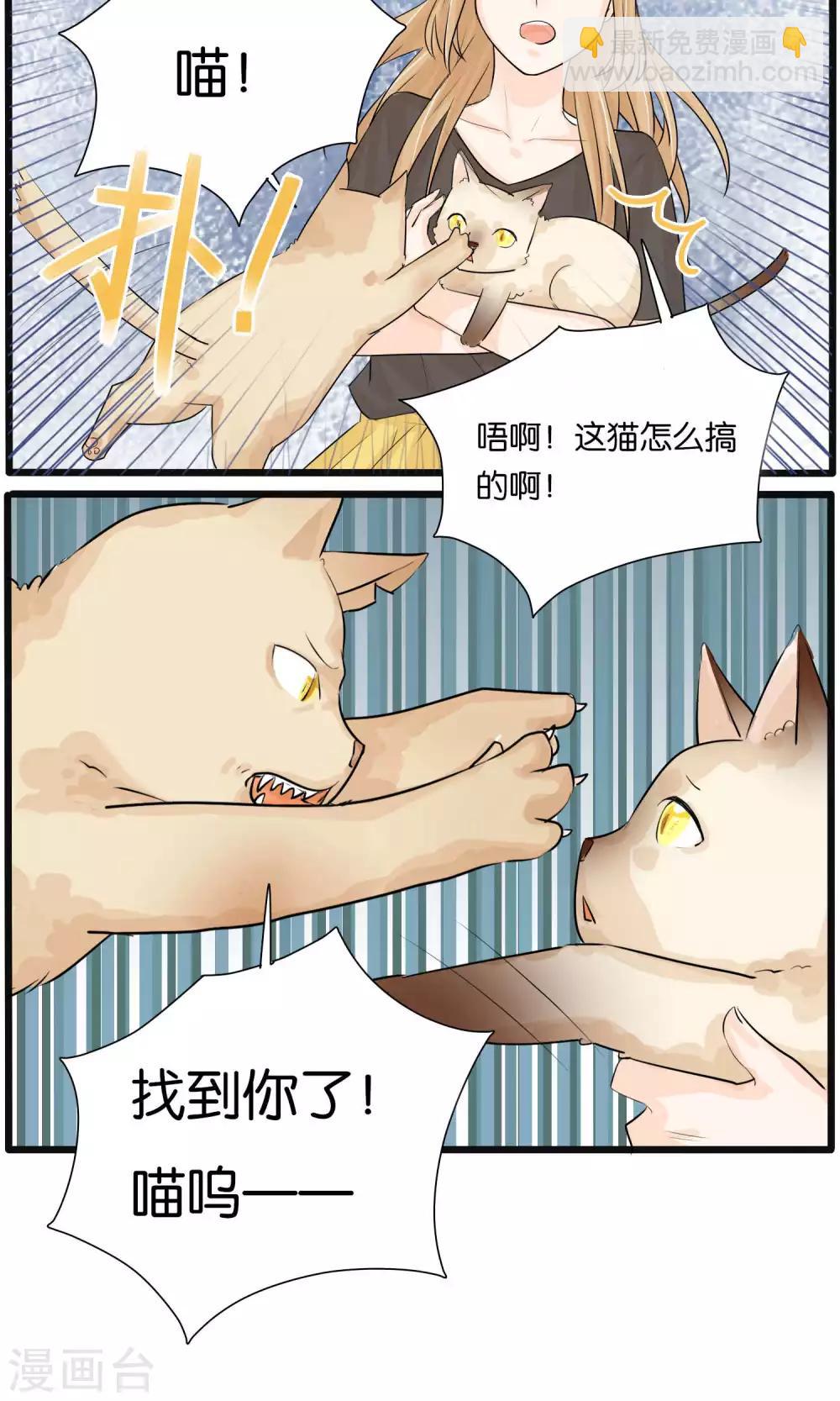 《说了猫还没灭绝呢》第31话 第16页