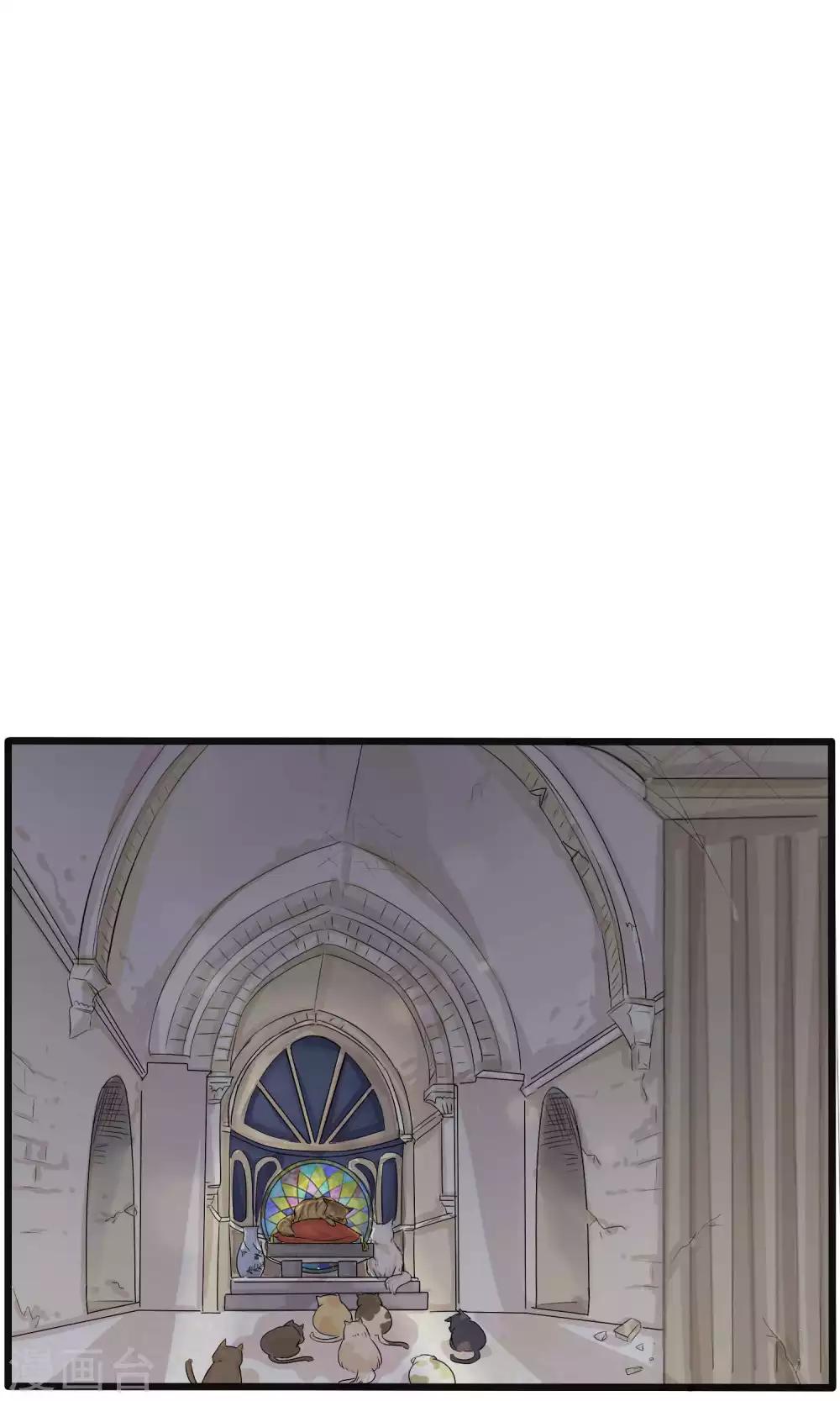 《说了猫还没灭绝呢》第31话 第4页