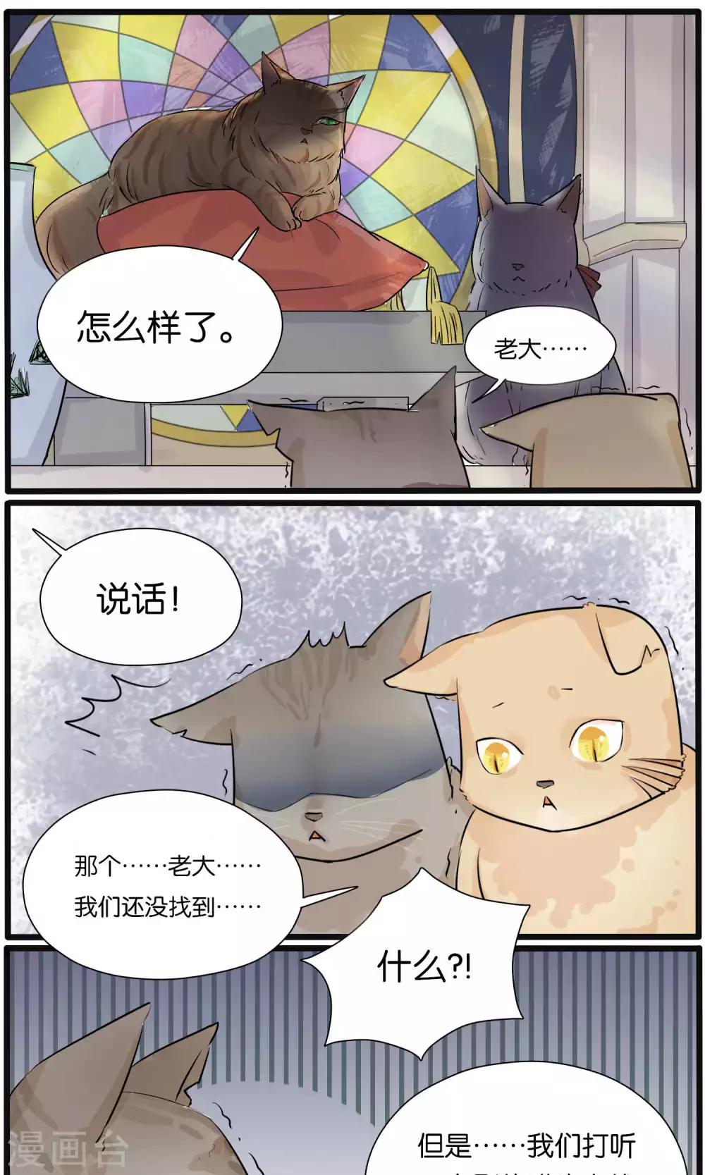 《说了猫还没灭绝呢》第31话 第5页