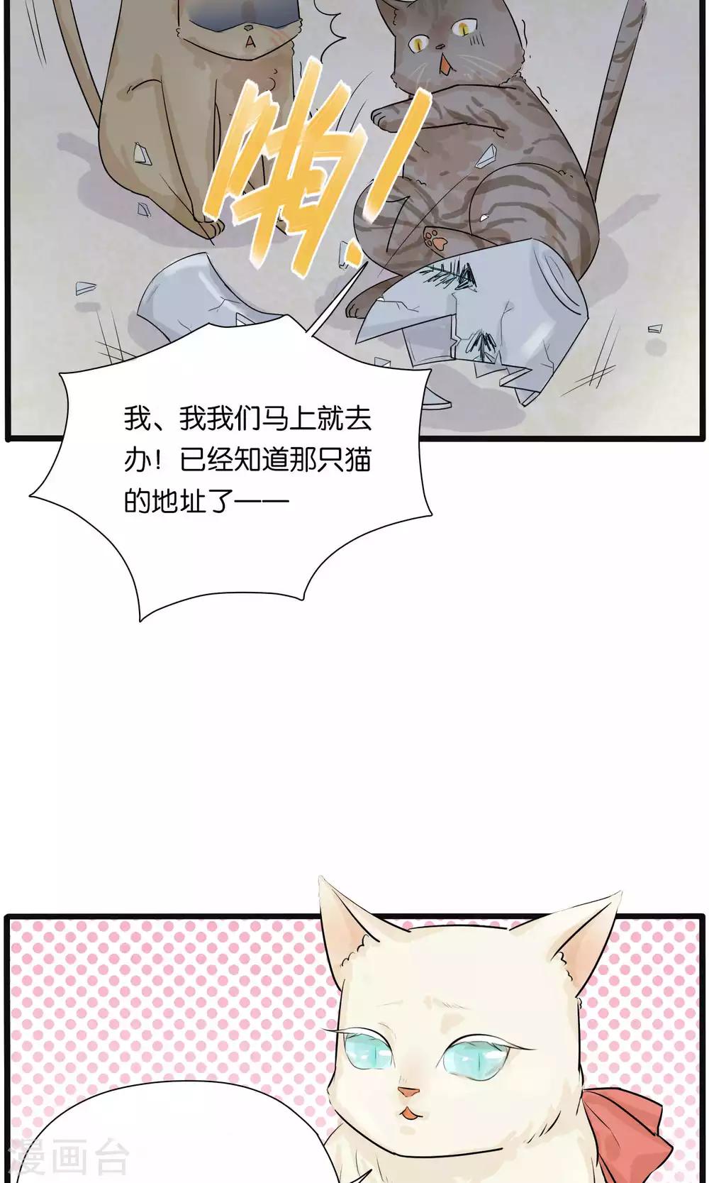 《说了猫还没灭绝呢》第31话 第7页