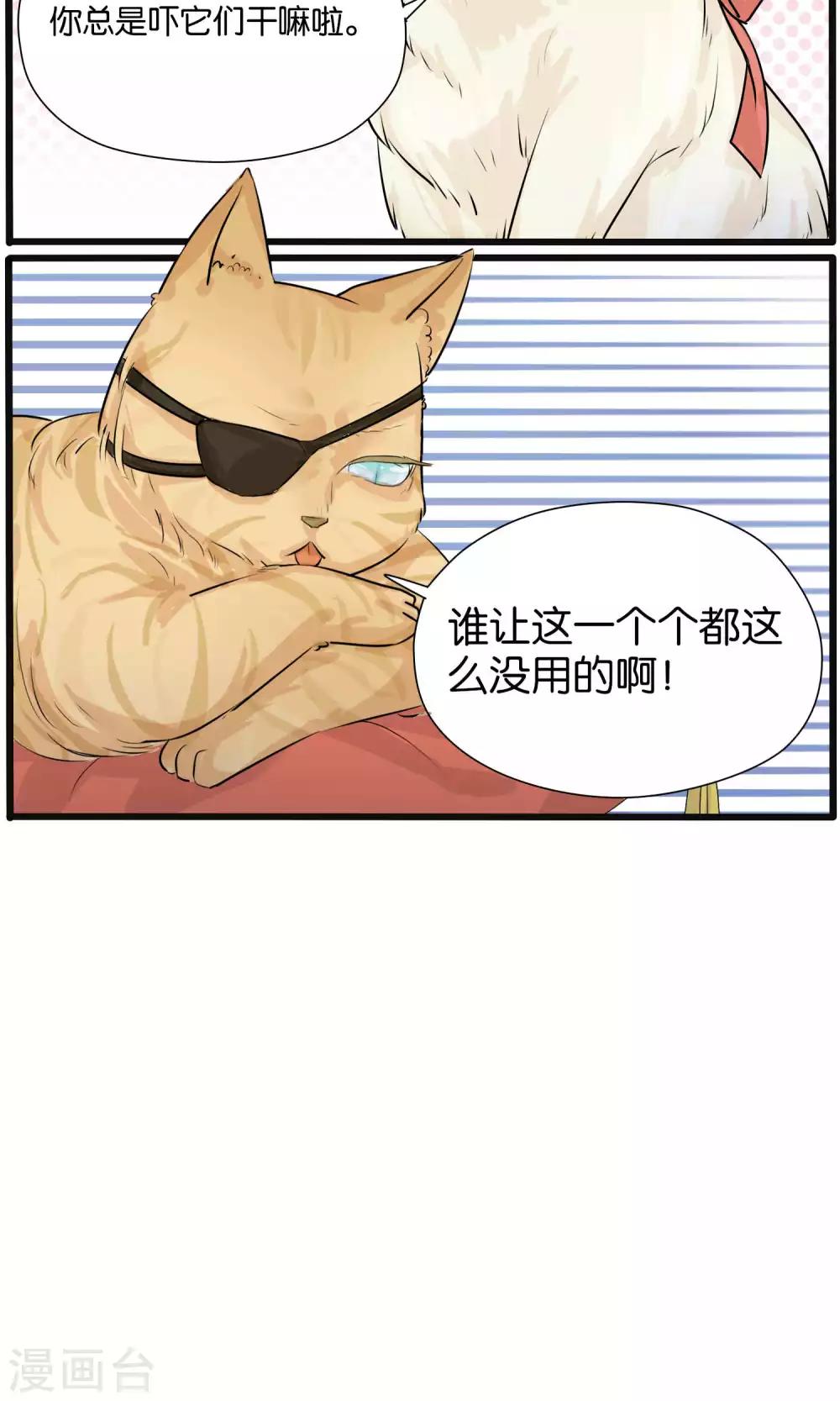 《说了猫还没灭绝呢》第31话 第8页