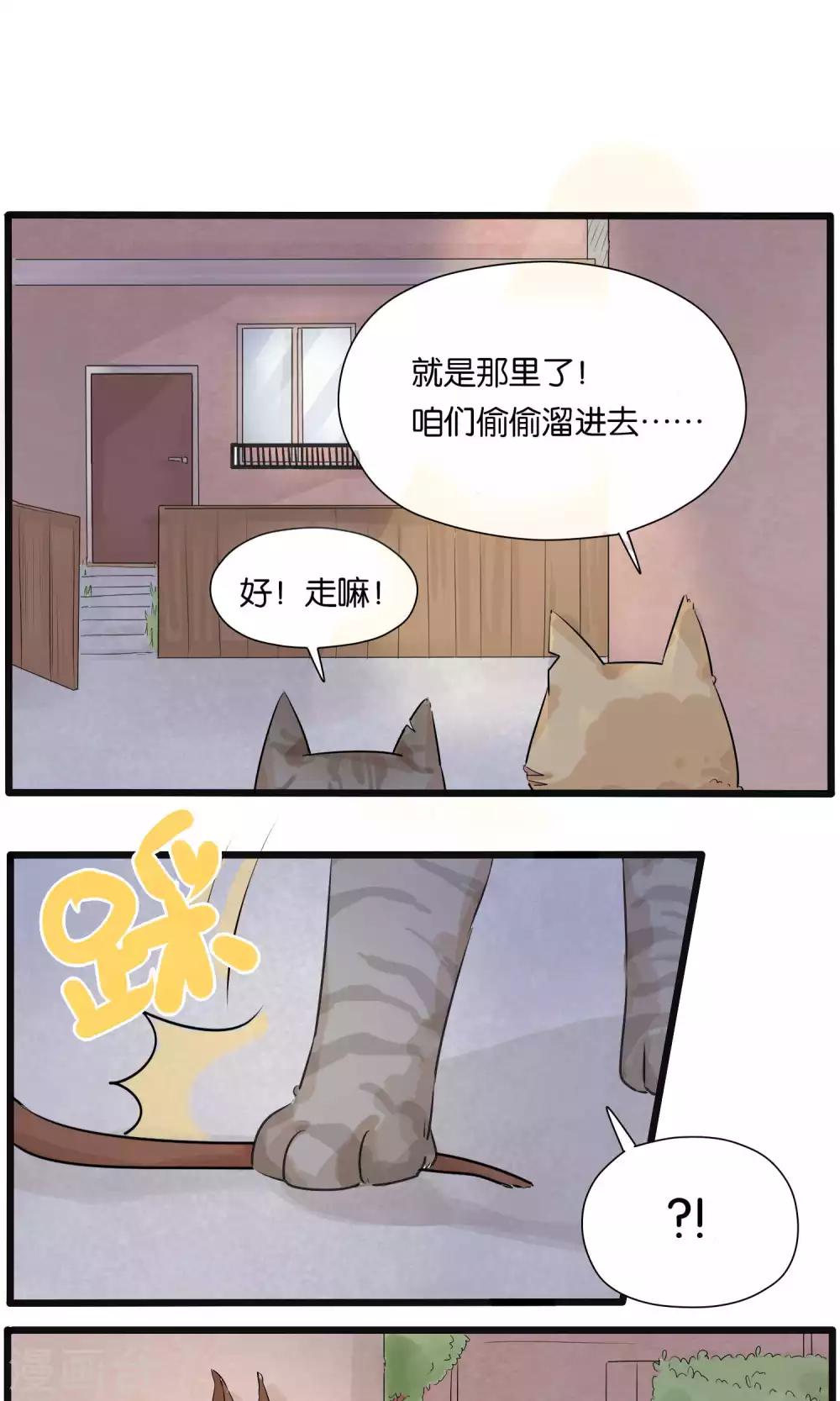《说了猫还没灭绝呢》第31话 第9页