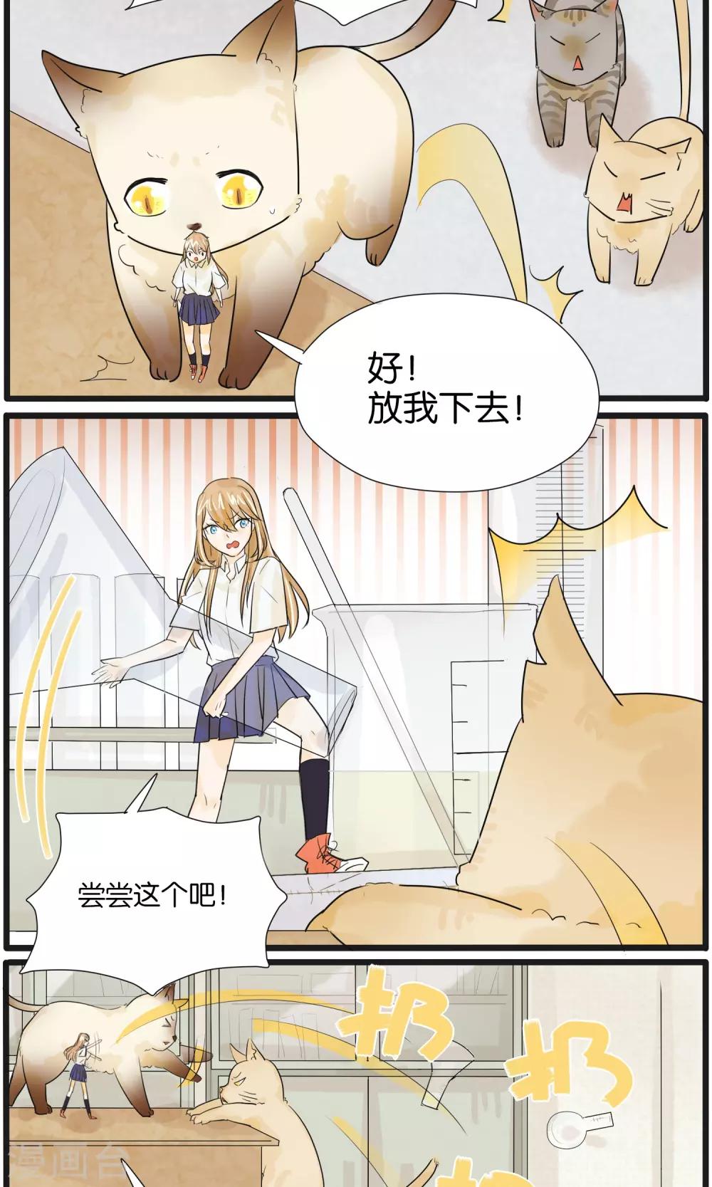 《说了猫还没灭绝呢》第33话 第10页