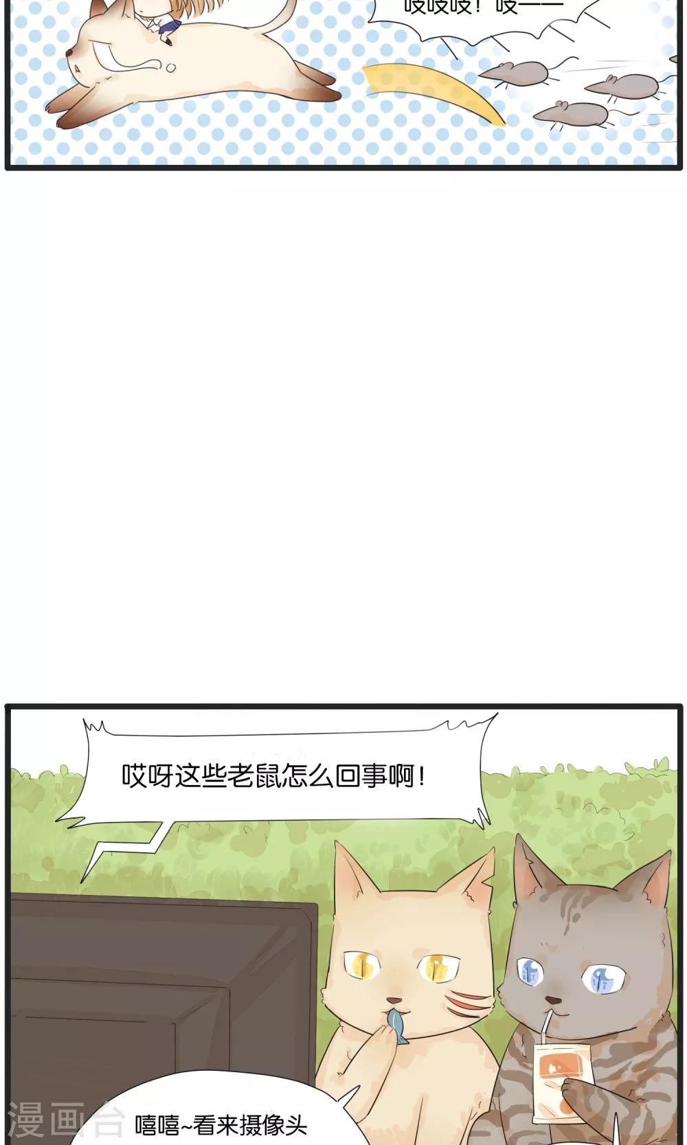 《说了猫还没灭绝呢》第33话 第3页