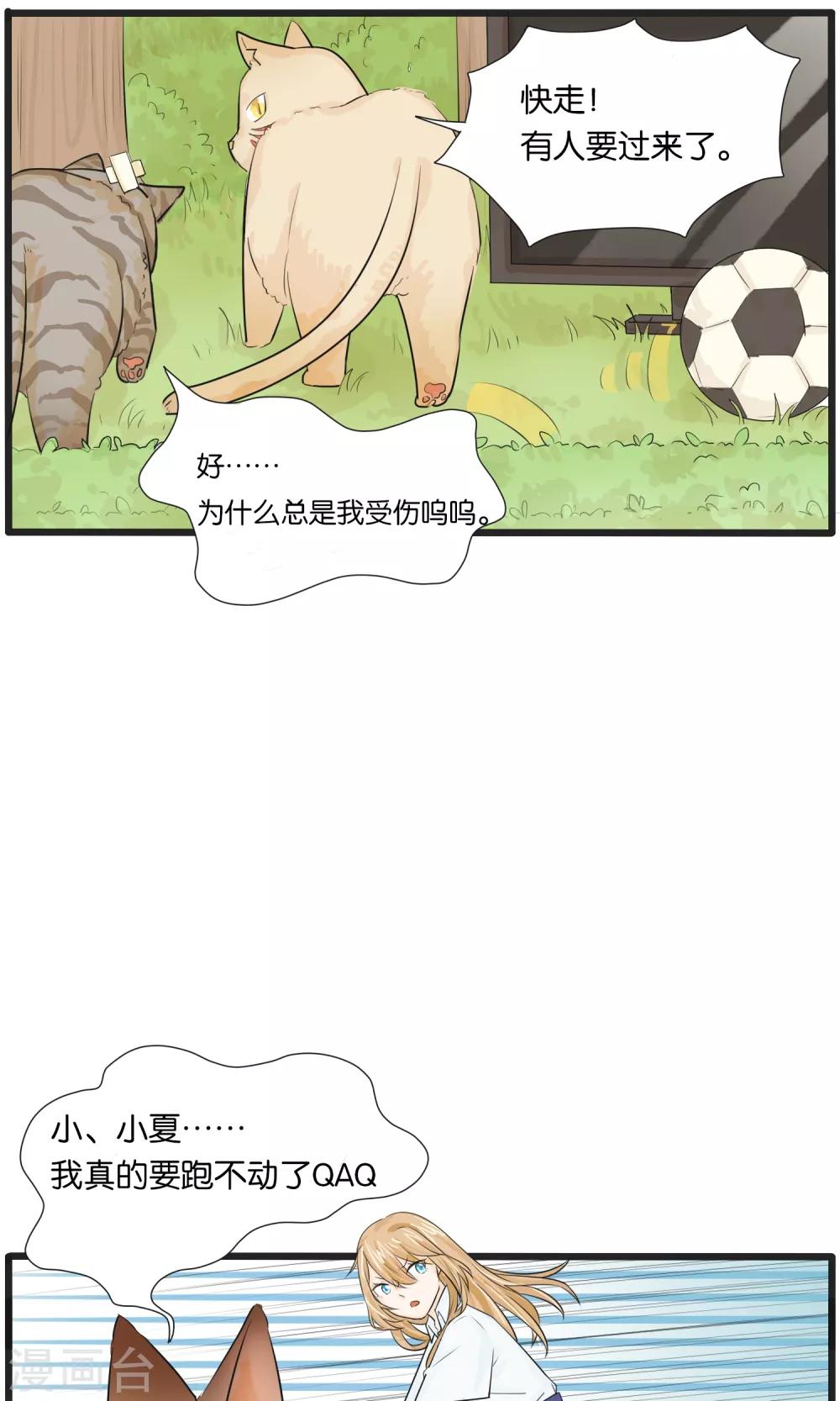 《说了猫还没灭绝呢》第33话 第5页