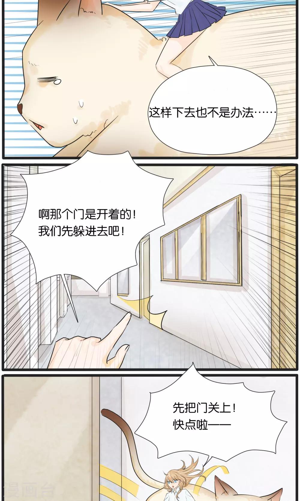 《说了猫还没灭绝呢》第33话 第6页