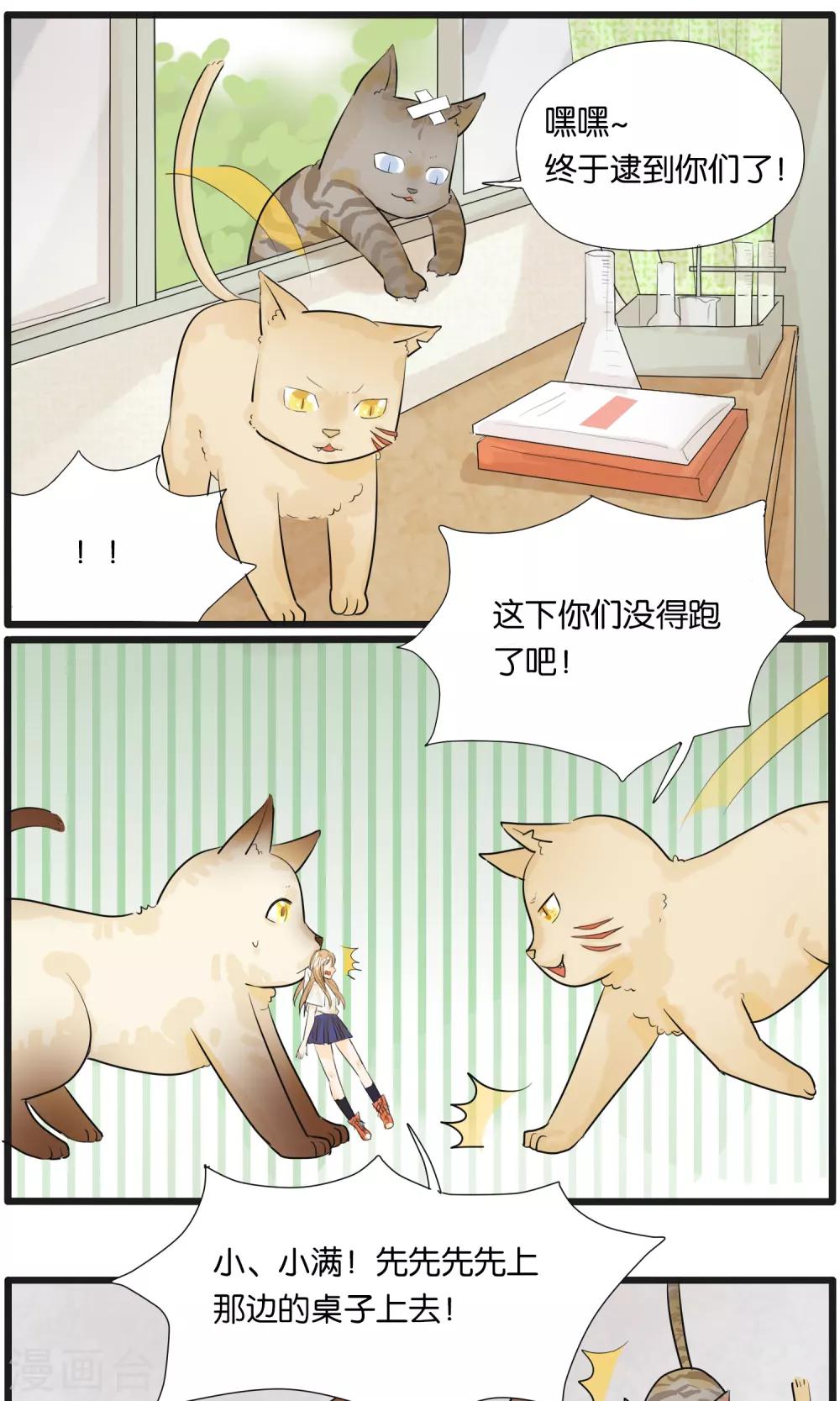 《说了猫还没灭绝呢》第33话 第9页
