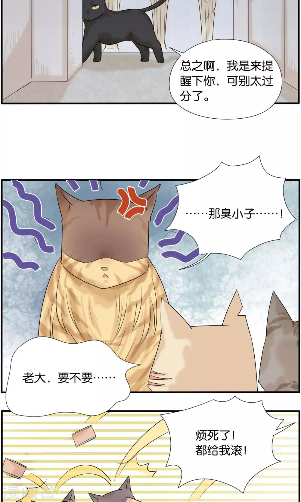 《说了猫还没灭绝呢》第36话 第11页