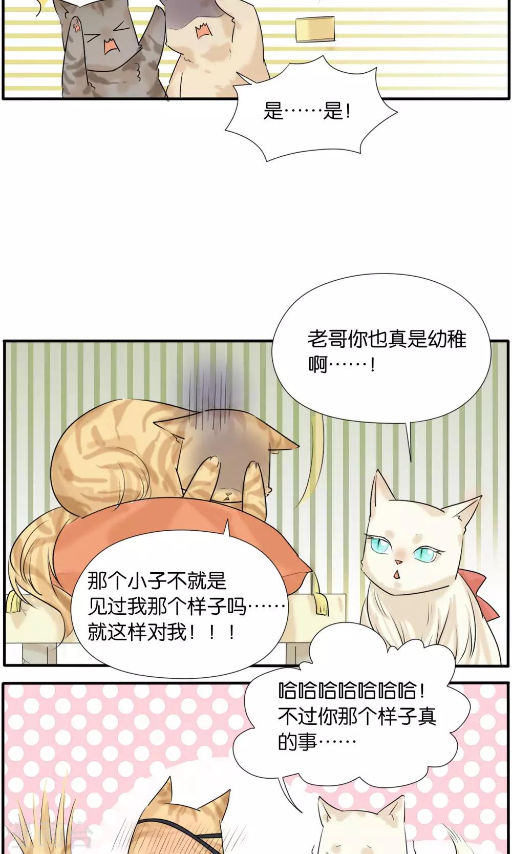 《说了猫还没灭绝呢》第36话 第12页