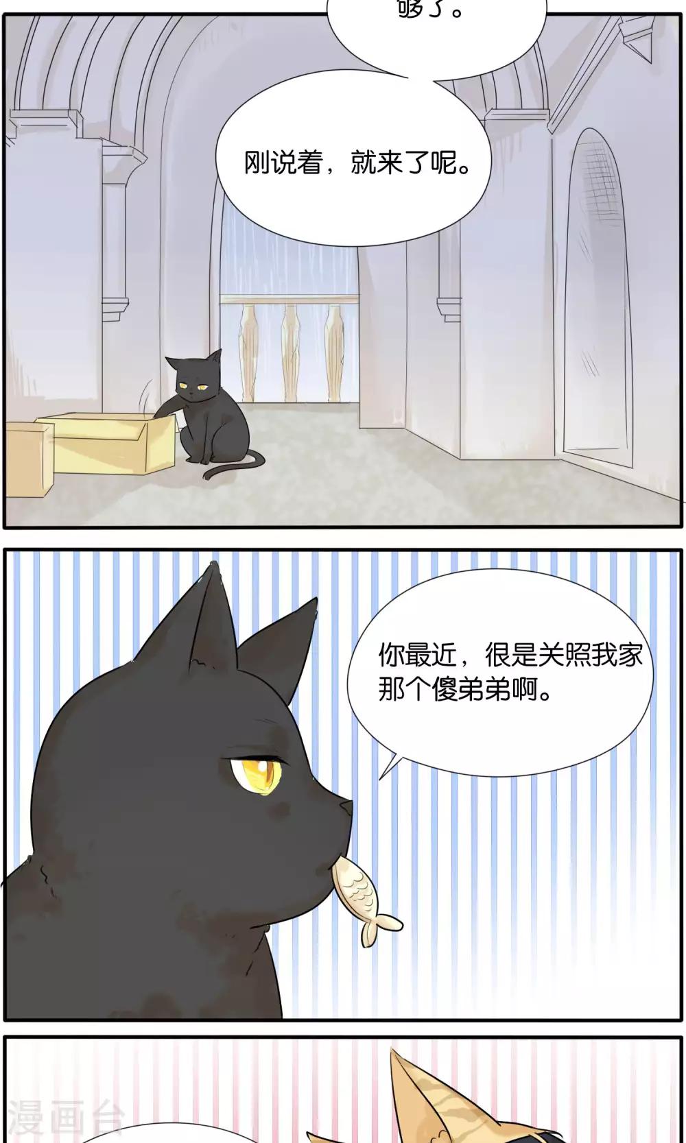 《说了猫还没灭绝呢》第36话 第8页