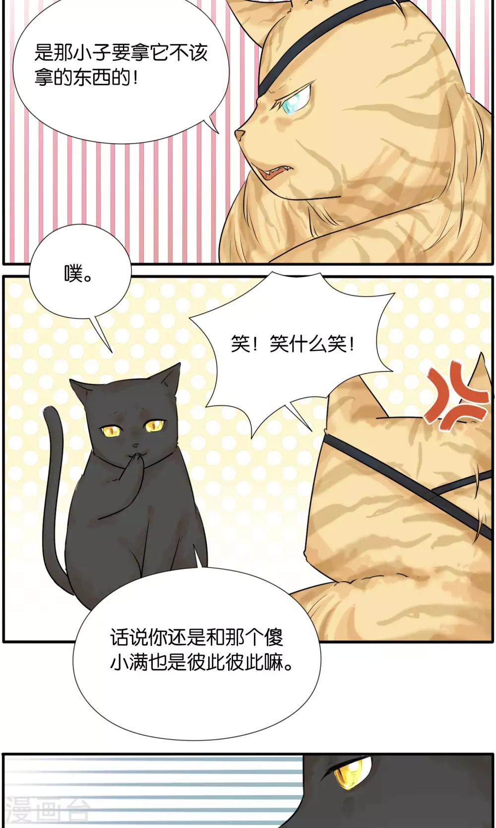 《说了猫还没灭绝呢》第36话 第9页