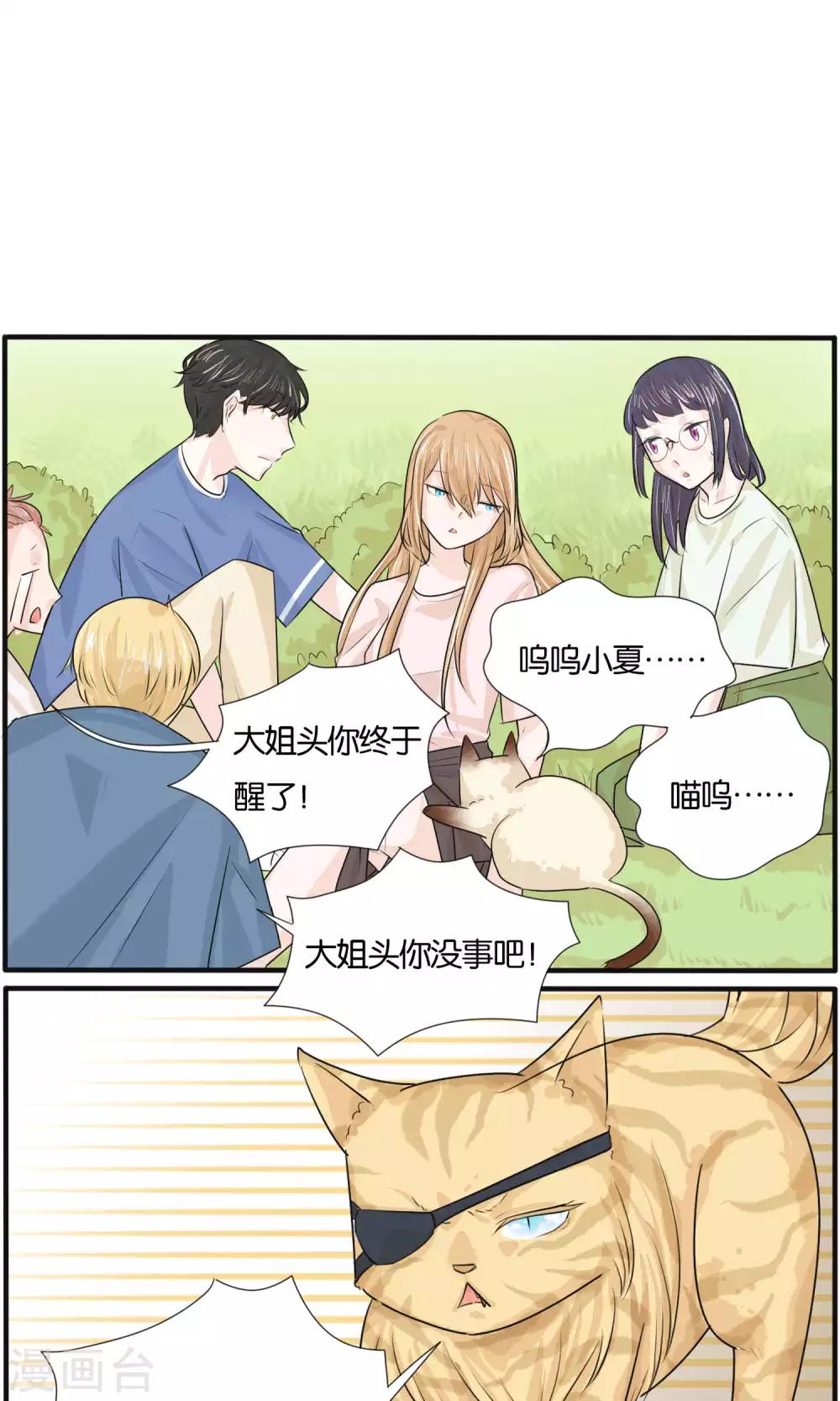 《说了猫还没灭绝呢》最终话 第18页