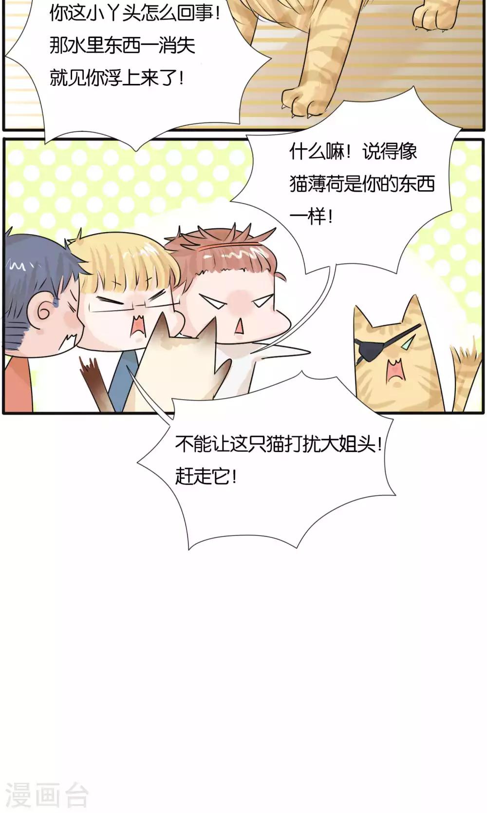 《说了猫还没灭绝呢》最终话 第19页