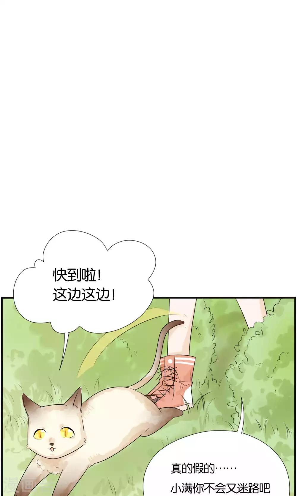 《说了猫还没灭绝呢》最终话 第4页