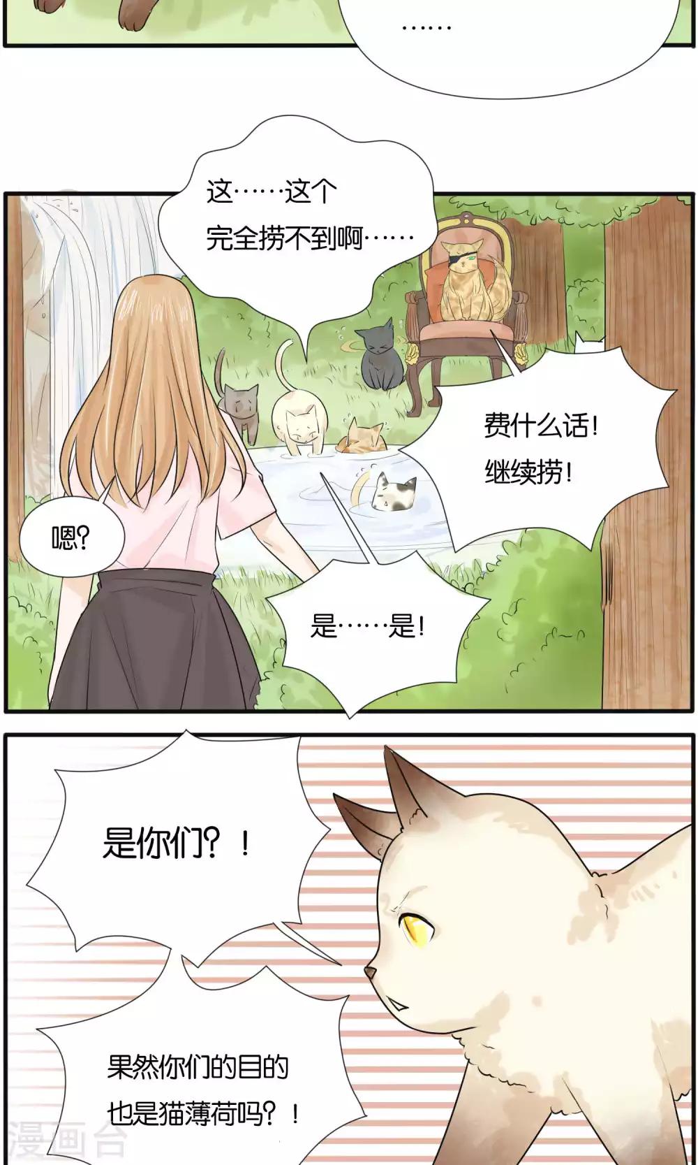 《说了猫还没灭绝呢》最终话 第5页