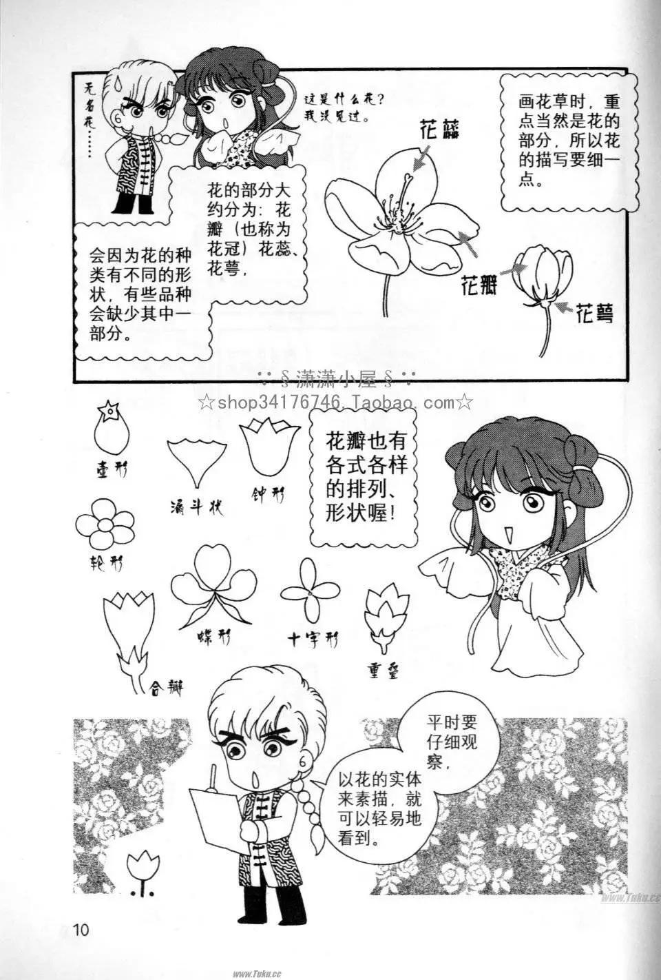 《素兰和乔英的漫画学院》花草篇 第10页