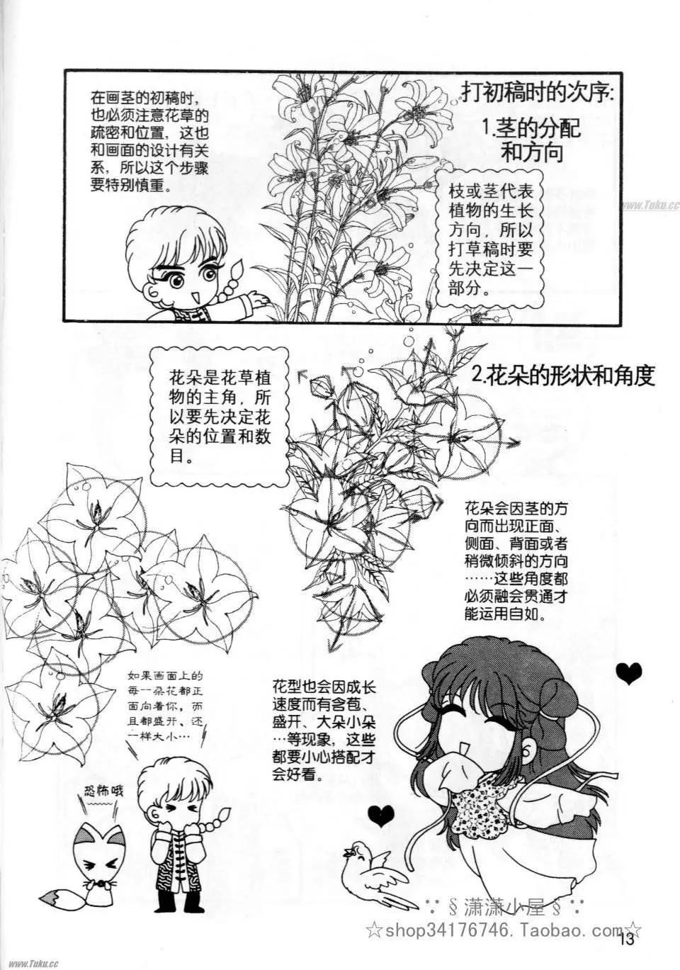 《素兰和乔英的漫画学院》花草篇 第13页