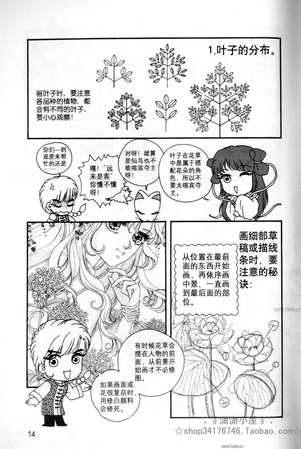 《素兰和乔英的漫画学院》花草篇 第14页