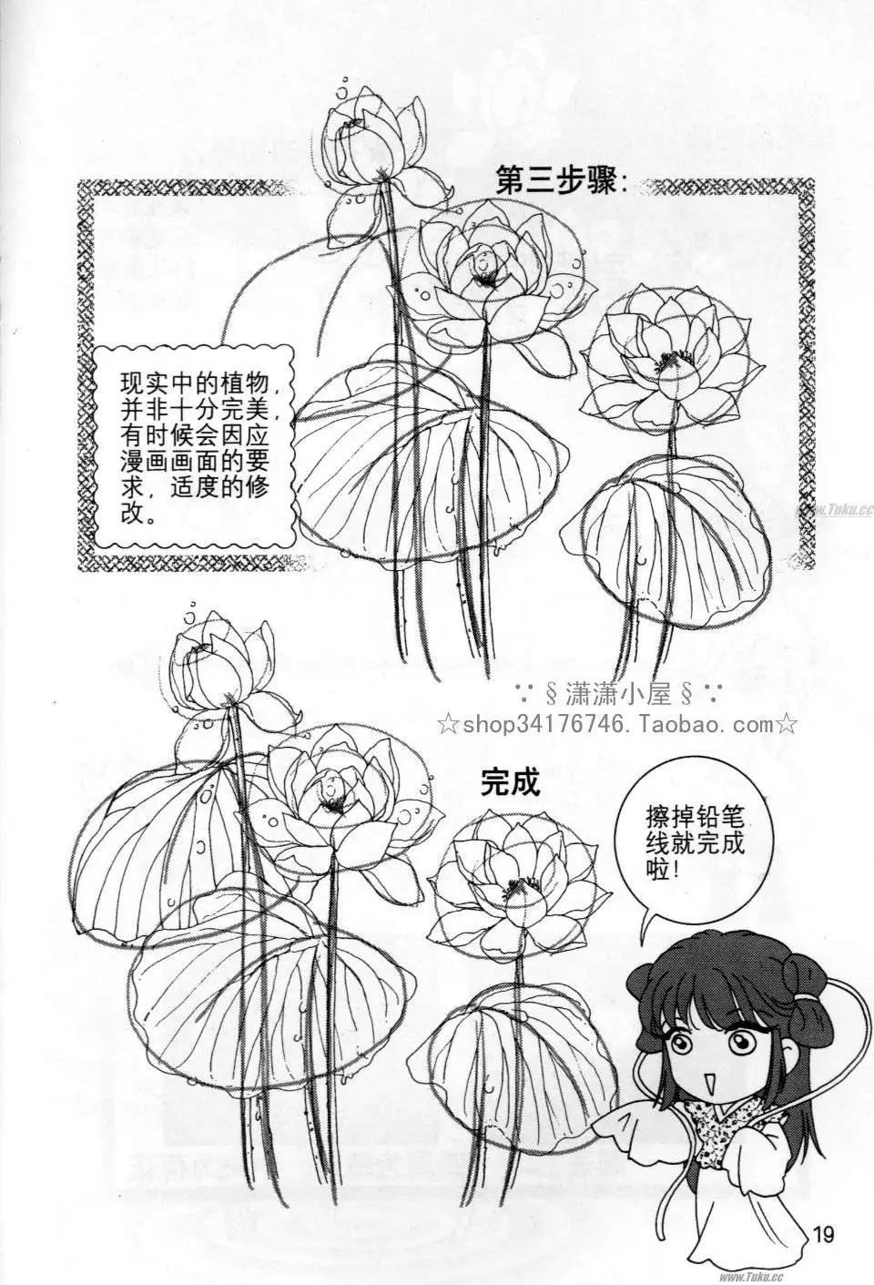 《素兰和乔英的漫画学院》花草篇 第19页