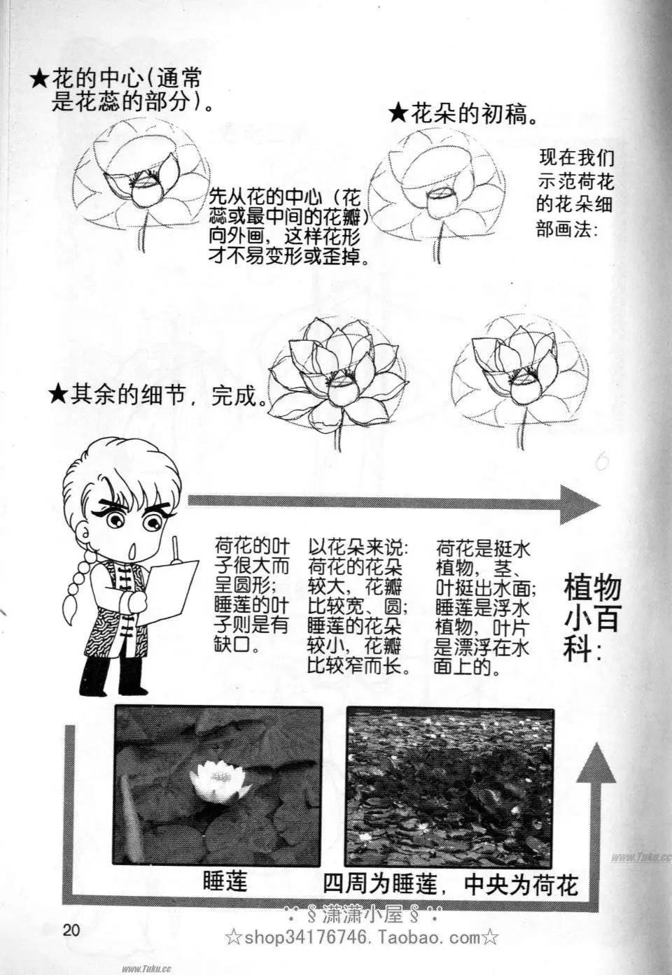 《素兰和乔英的漫画学院》花草篇 第20页