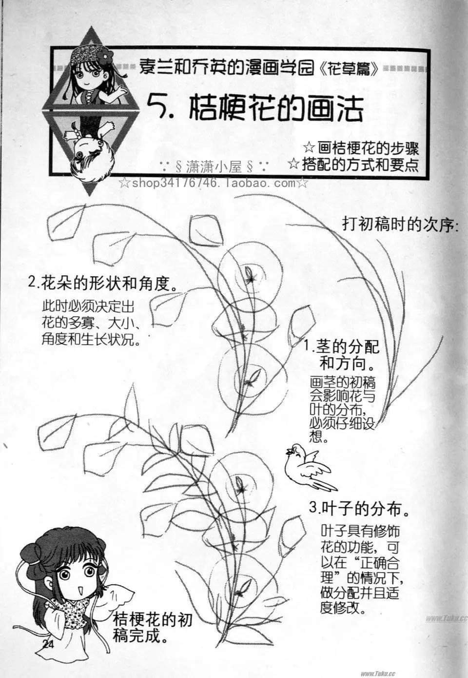 《素兰和乔英的漫画学院》花草篇 第24页