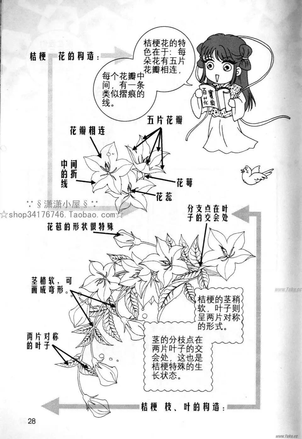 《素兰和乔英的漫画学院》花草篇 第28页