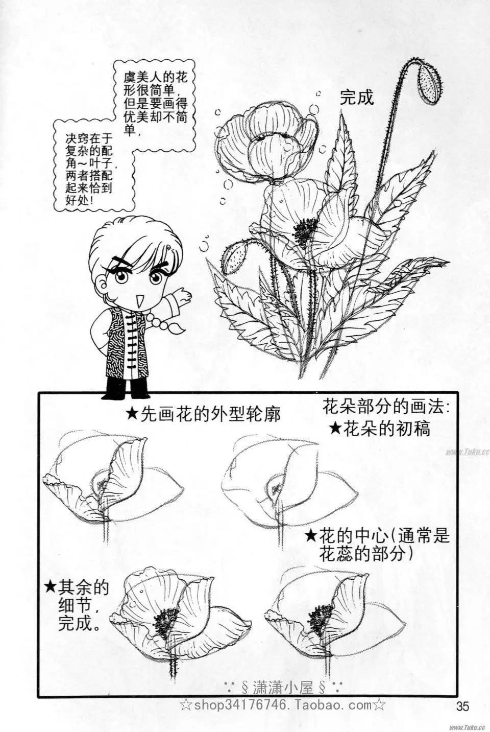 《素兰和乔英的漫画学院》花草篇 第35页