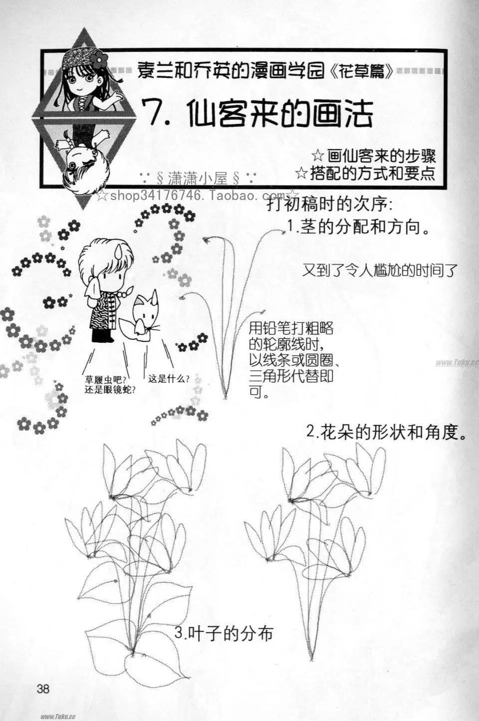 《素兰和乔英的漫画学院》花草篇 第38页